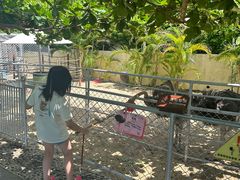 -三亚亚龙湾天域度假酒店