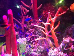 -沈阳海洋探索中心