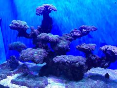 -海合安武汉极地海洋公园