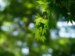 -青岛崂山太清宫