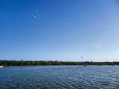 -春花秋色城市公园