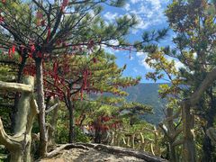 -罗田天堂寨风景区