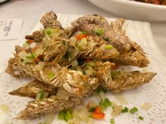 -开海·红岛海鲜虾水饺(石老人店)