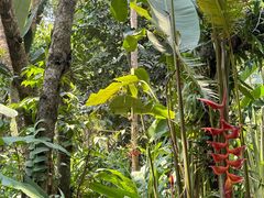 -中国科学院西双版纳热带植物园