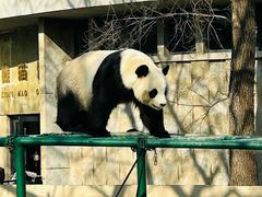 -天津市动物园