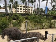 -三亚亚龙湾天域度假酒店