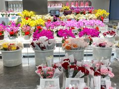 -盒马X会员店(王府井奥莱UP TOWN店)