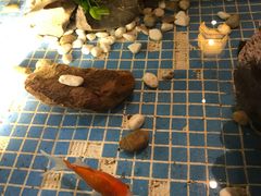 -小菜园新徽菜(马鞍山金鹰店)