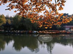 -泰州凤城河风景区-泰山公园
