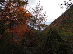 -孟屯河谷景区