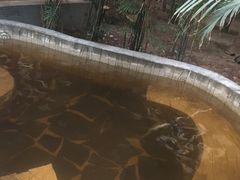 -龙达温泉生态城