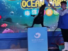 -石家庄海洋公园