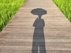 -艾米稻香小镇