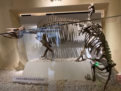 -国家自然博物馆