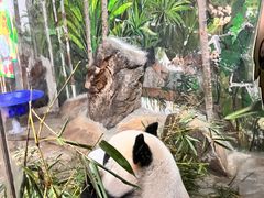 -海南热带野生动植物园