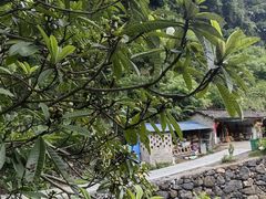 -石台牯牛降景区