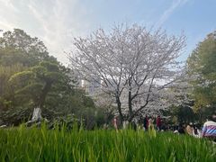 -堤角公园
