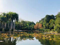 -中国科学院西双版纳热带植物园