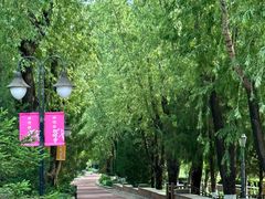 -中央戏剧学院(昌平校区)
