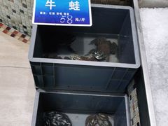 -双井轩(双井店)