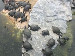 -八景休閒山莊  廣東十大名山莊