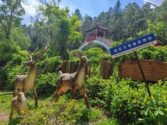 -海南文笔峰盘古文化旅游区