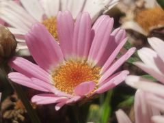 -紫竹院公园-东门停车场