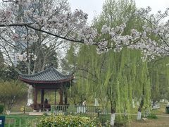 -堤角公园