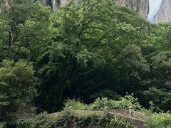 -雁荡山风景名胜区