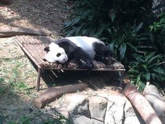 河川生态园-河川生态园