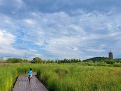 -永定河休闲森林公园