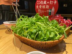 -老凯俚酸汤鱼(多彩城店)