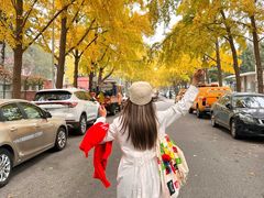-三里屯东五街银杏大道