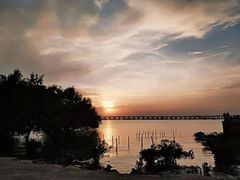 -宝安西湾红树林湿地公园