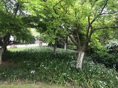 -荆川公园