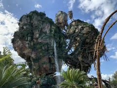 -奥兰多迪士尼动物王国乐园