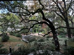 -香港大学