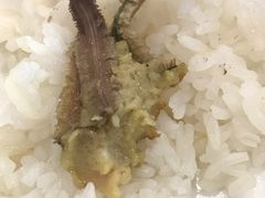 -长润·濑尿烧鹅