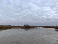 -盐城丹顶鹤湿地生态旅游区