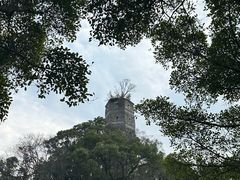 -江心屿景区