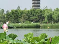 -西海子公园