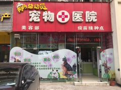 -总动员动物医院(宝丰院店)