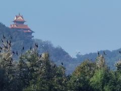-东湖落雁景区