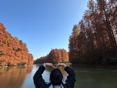 -上海海湾国家森林公园