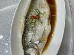 -龙景軒大酒店(共康店)