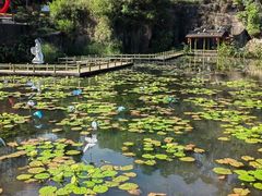 -广州莲花山旅游区