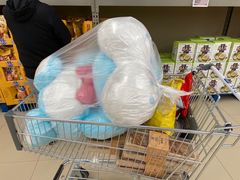 -盒马X会员店(上海森兰商都店)