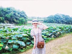 -艾溪湖湿地公园