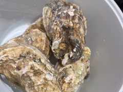 -杨氏青龙虾·羊蝎子(托乐嘉店)