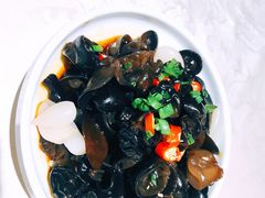 爽口黑木耳-老头儿油爆虾·三潭印月